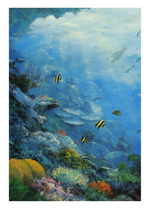 Coral Reef Magic - Click Here to view larger version
